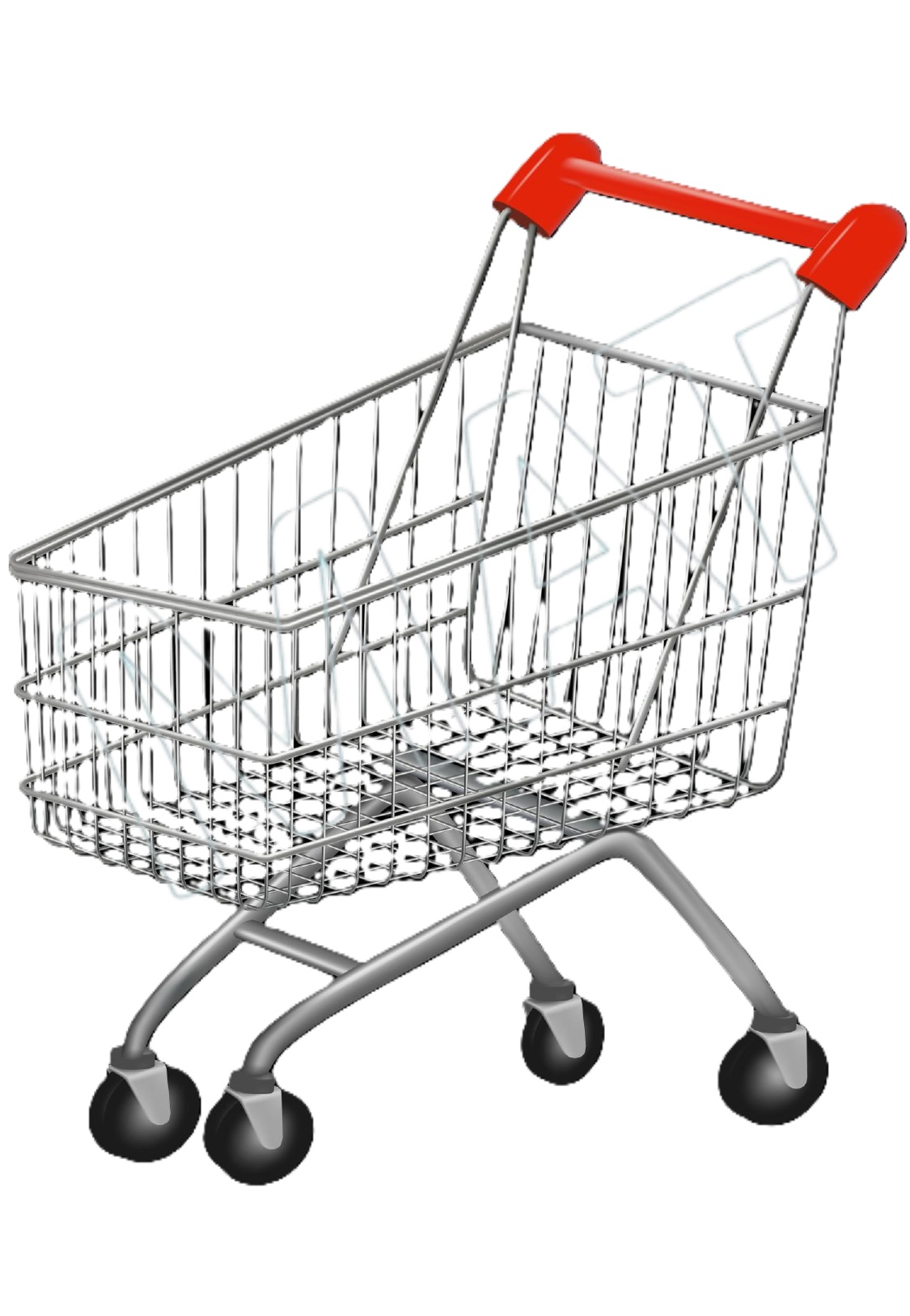 My Shopping Experience