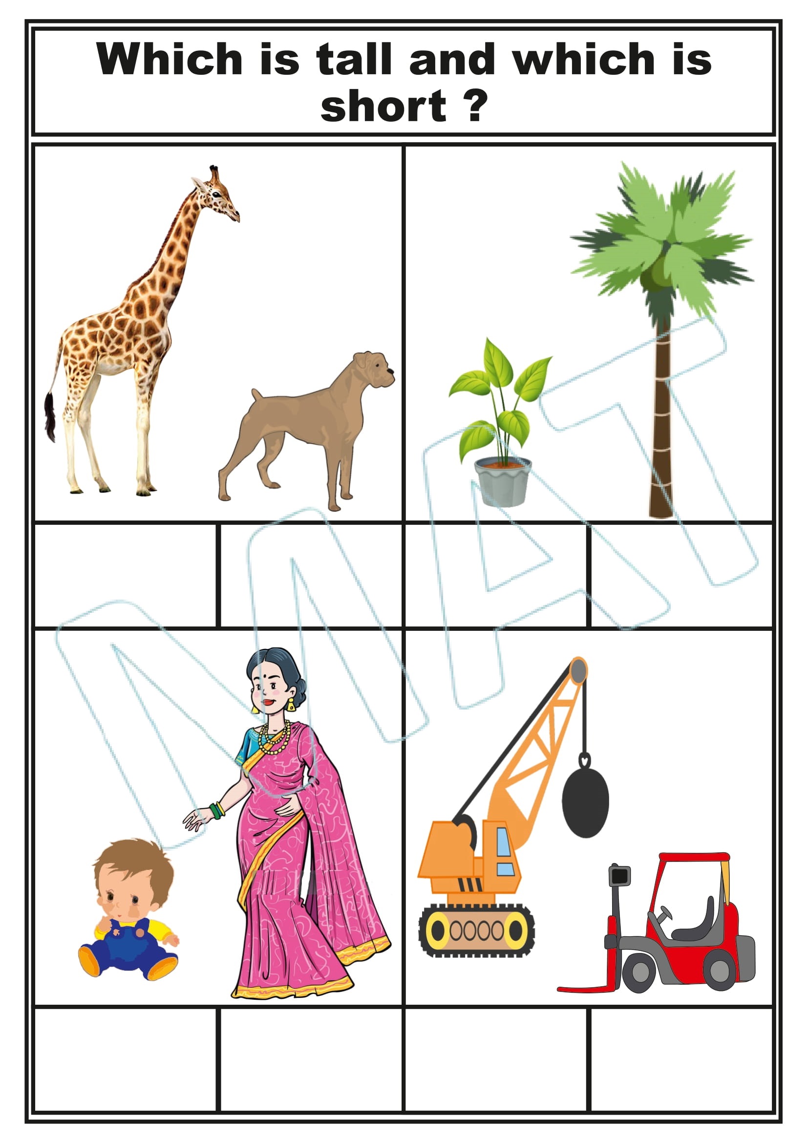 Let’s Identify the Short and Tall Objects