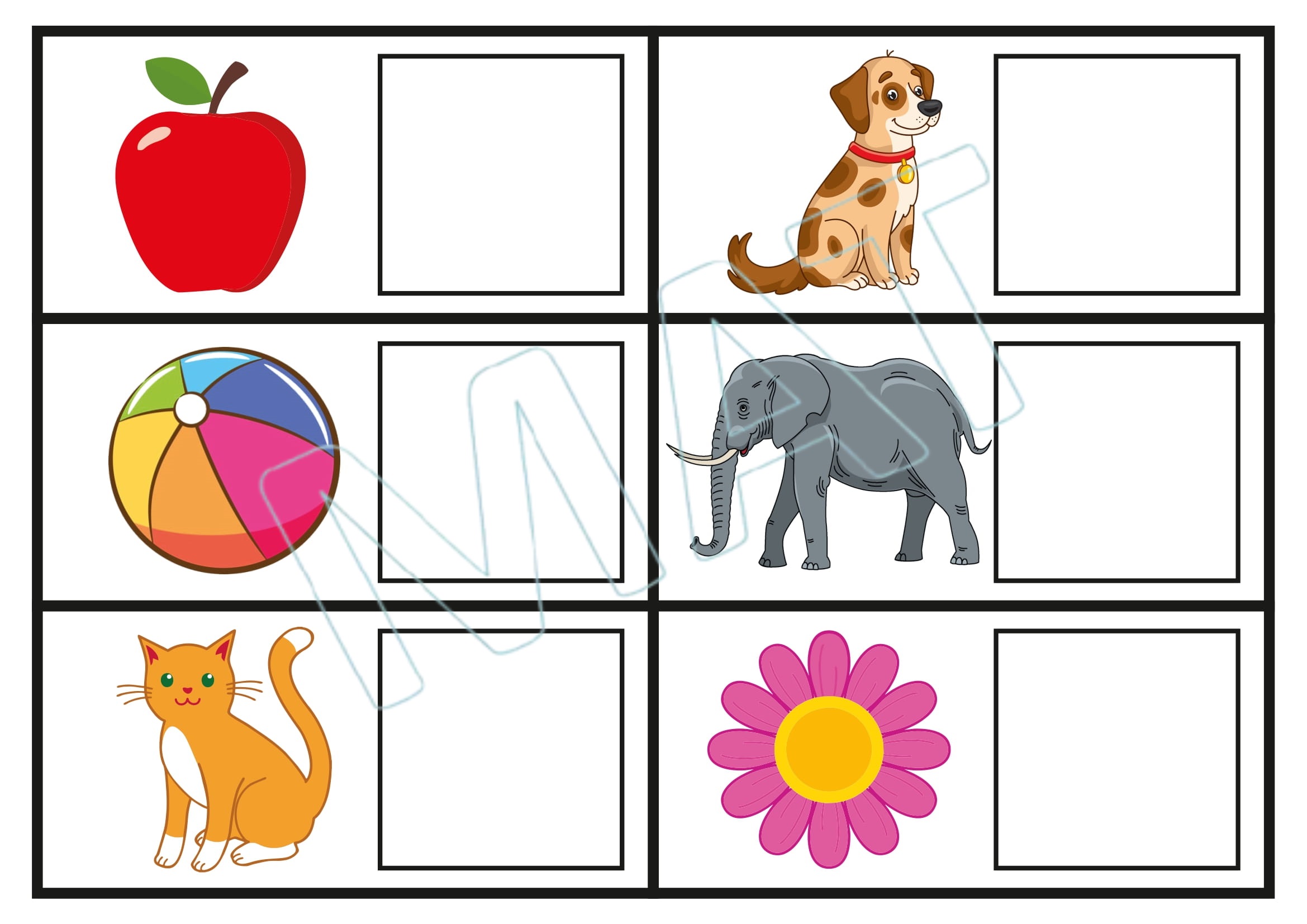 My Book of Alphabets