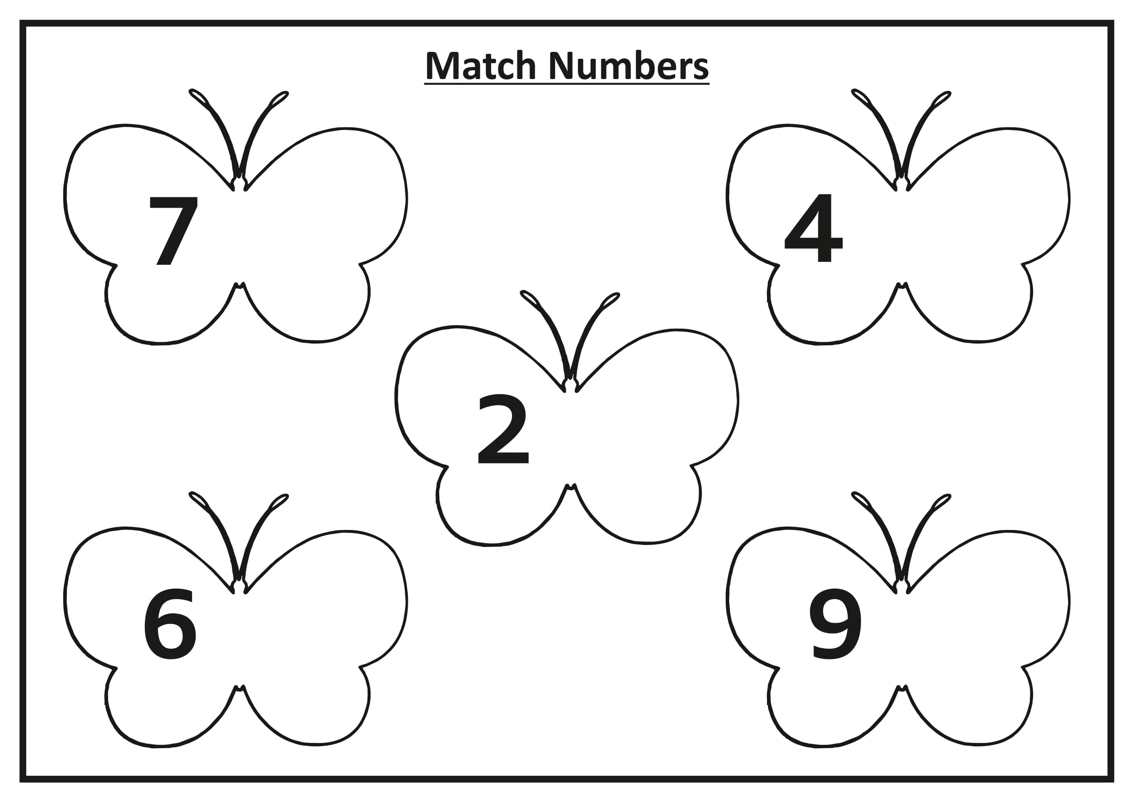 My Book of Number Vol.2