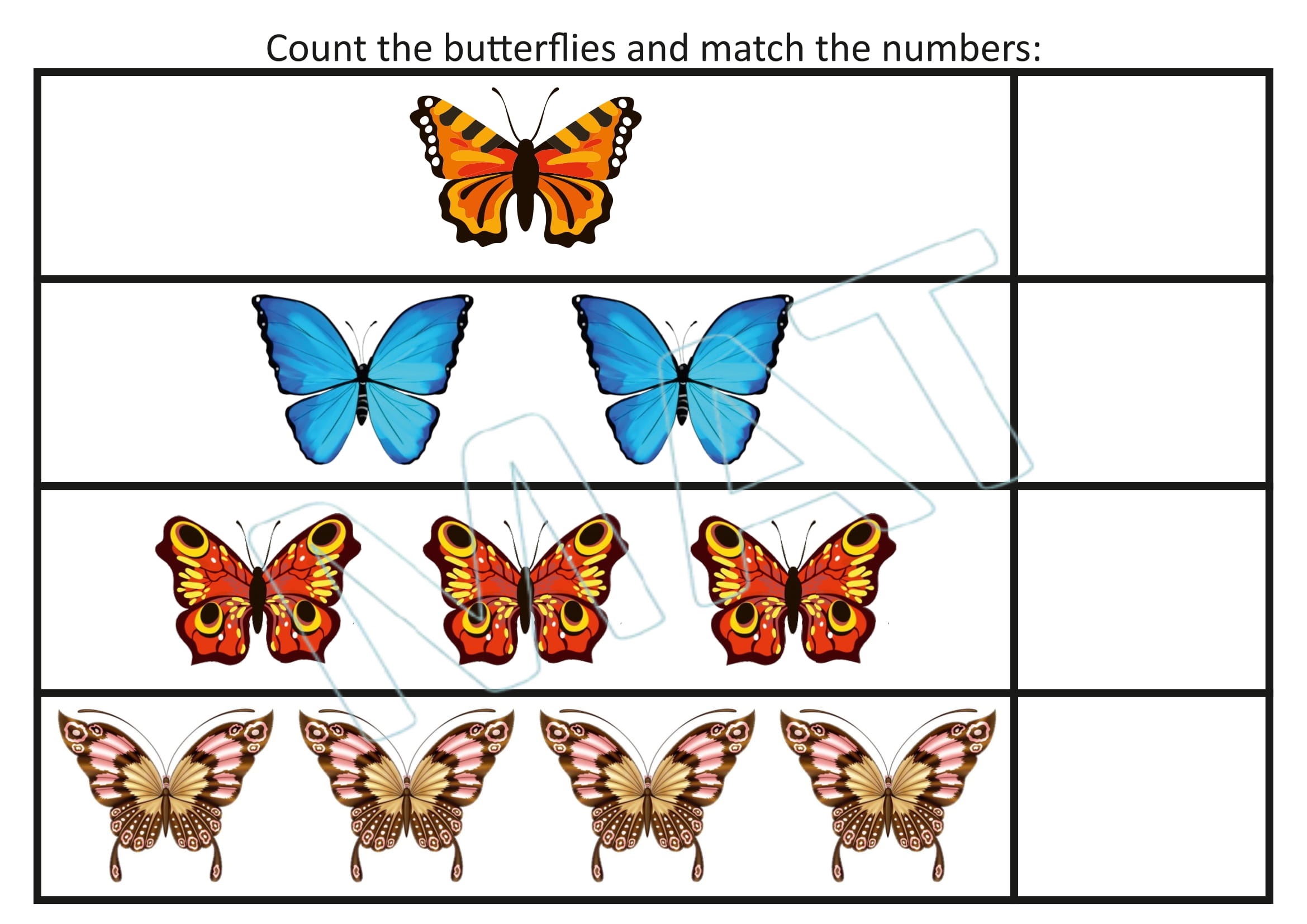 My Book of Number Vol.2