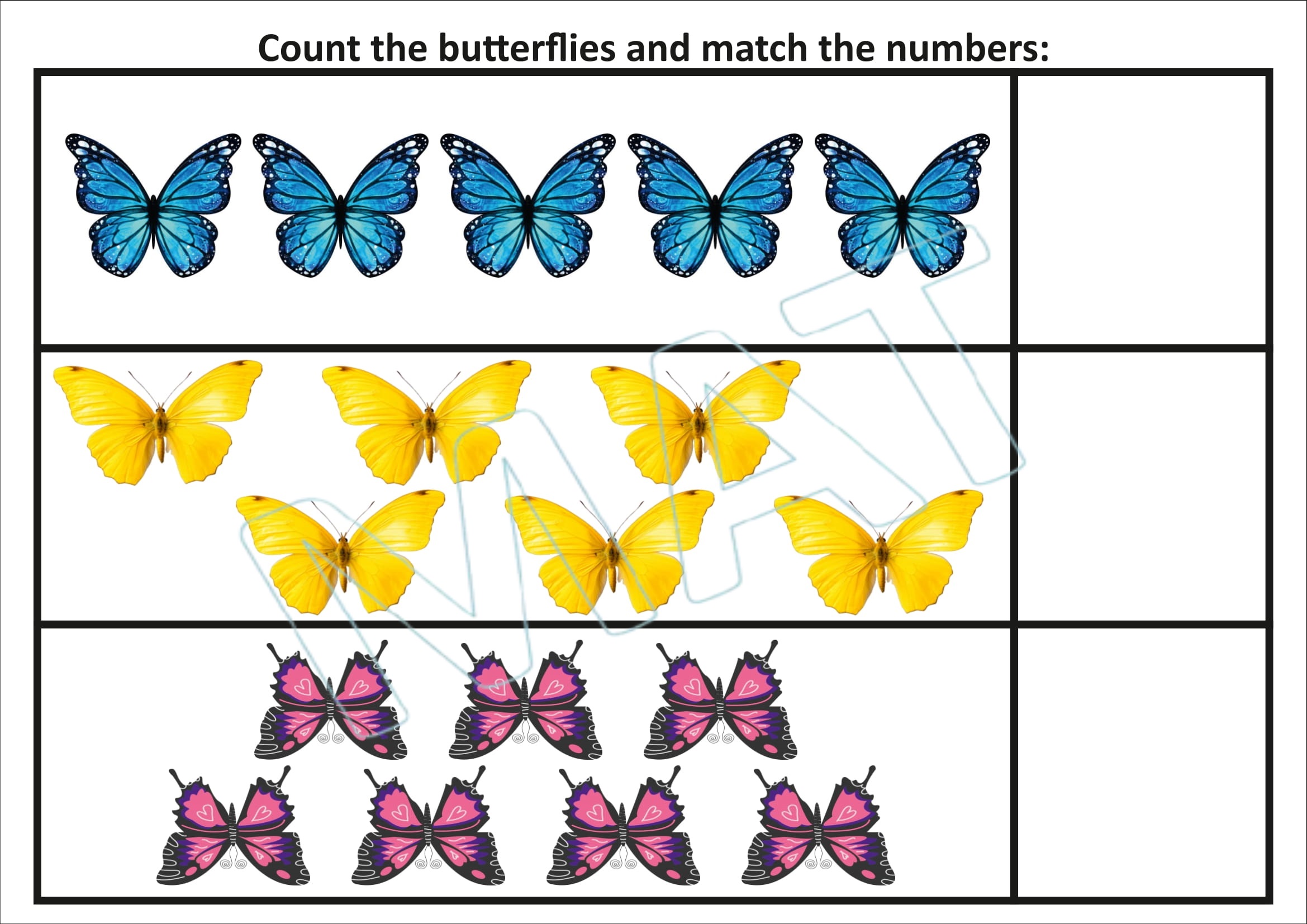 My Book of Number Vol.2