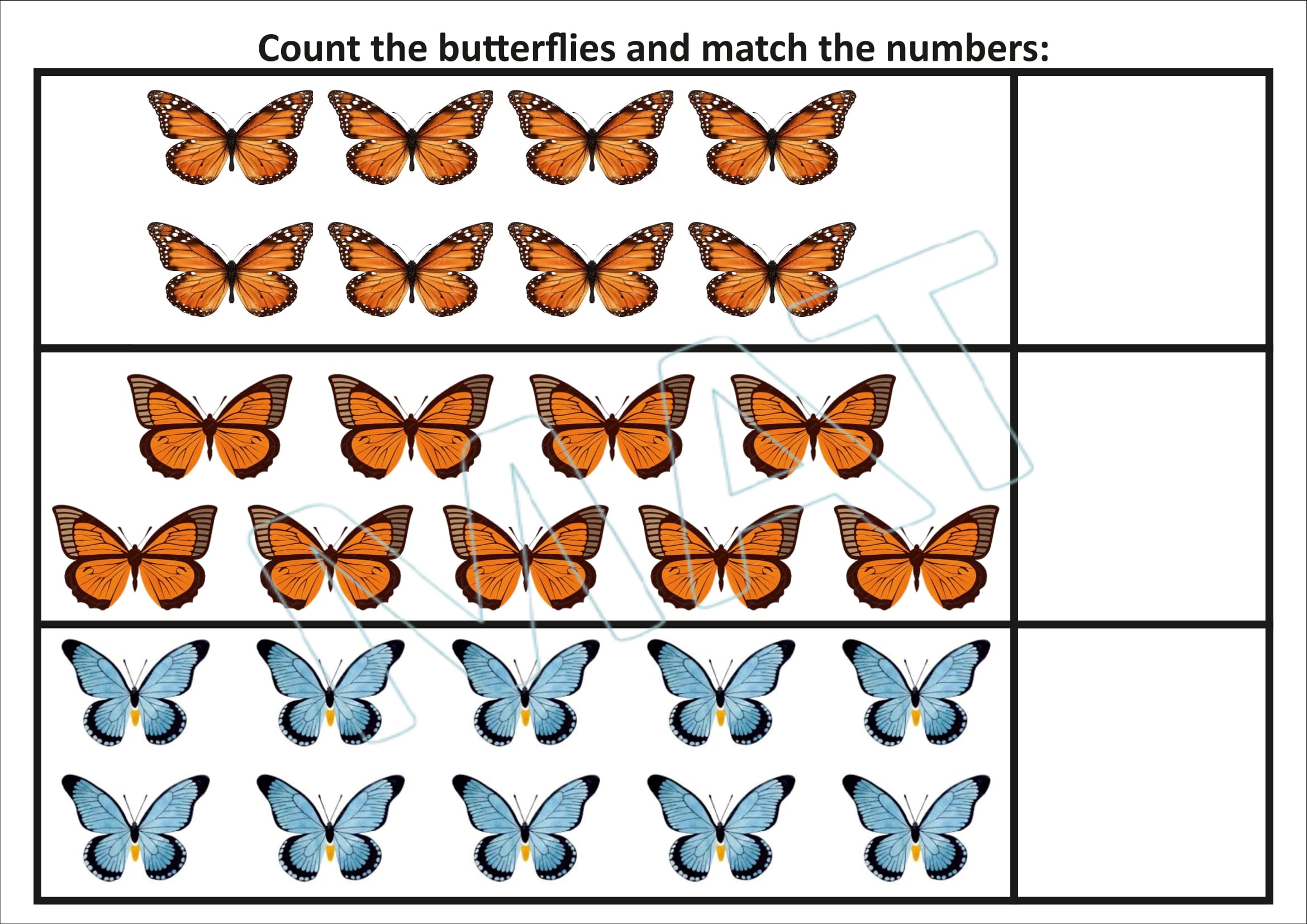 My Book of Number Vol.2