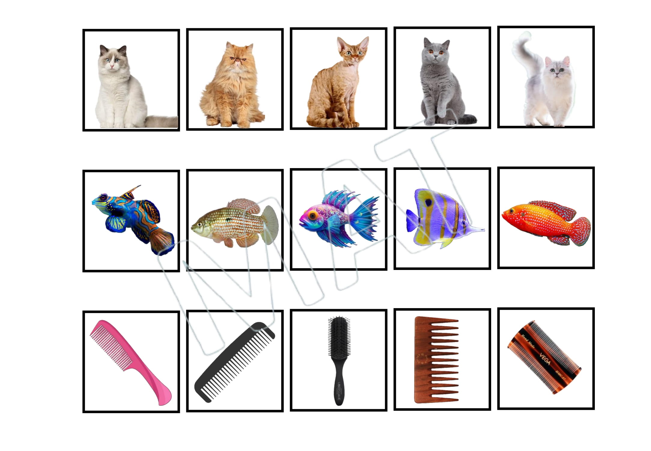 My Book of Non-Identical Matching