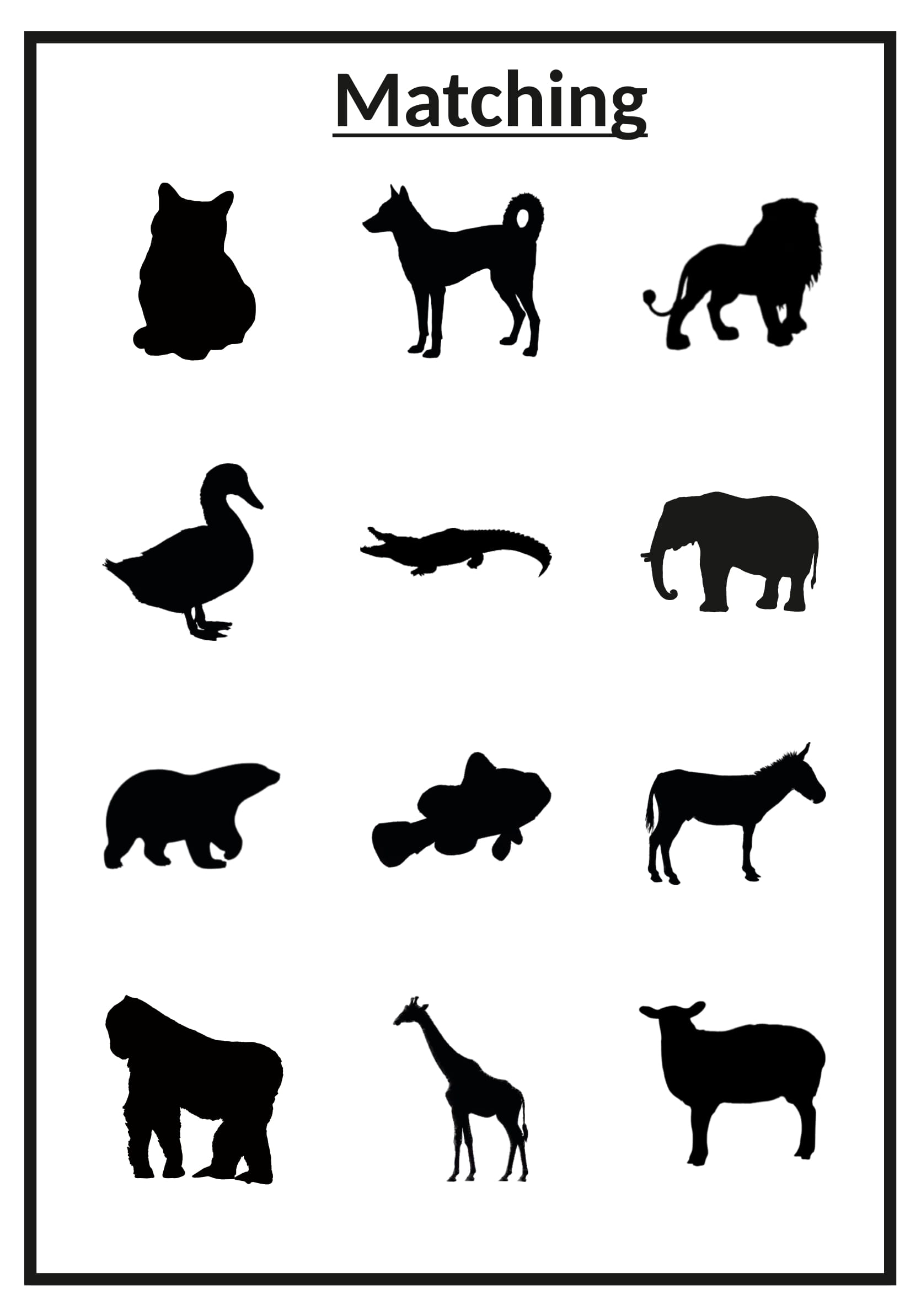 Shadow Matching Animal
