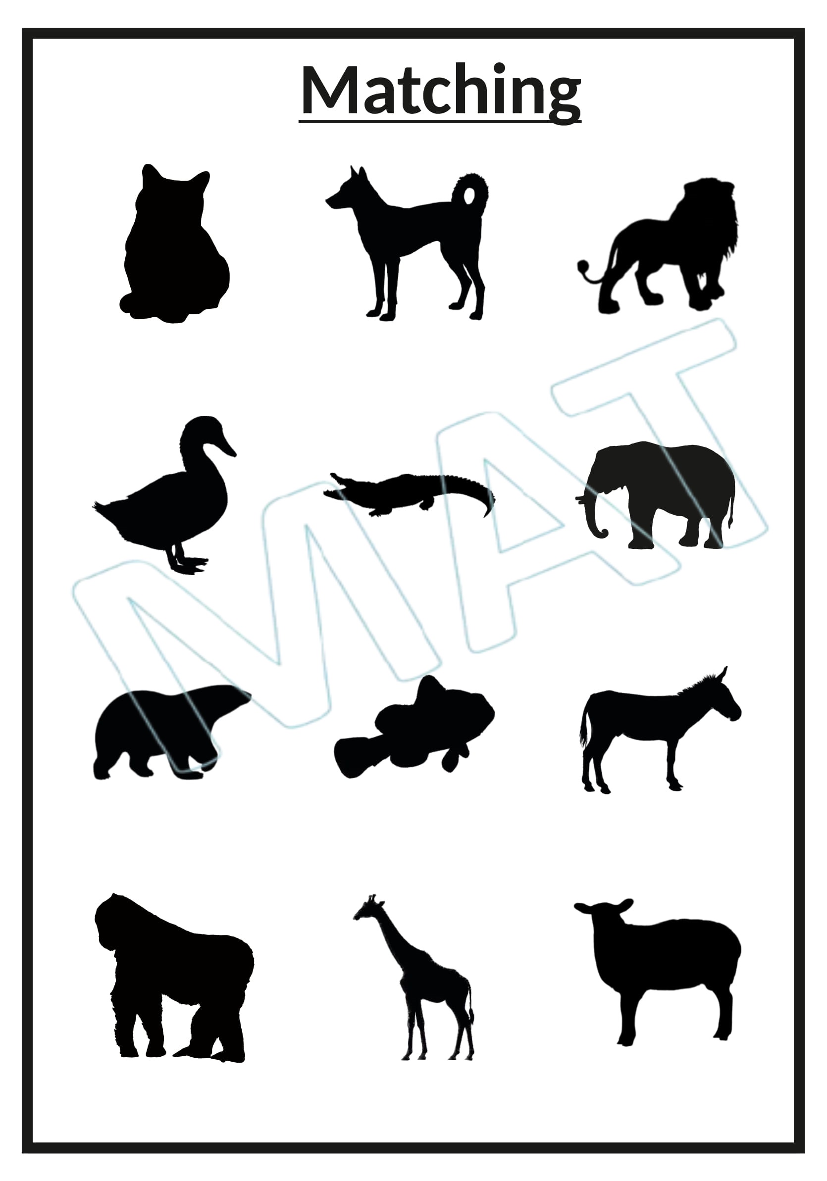 Shadow Matching Animal