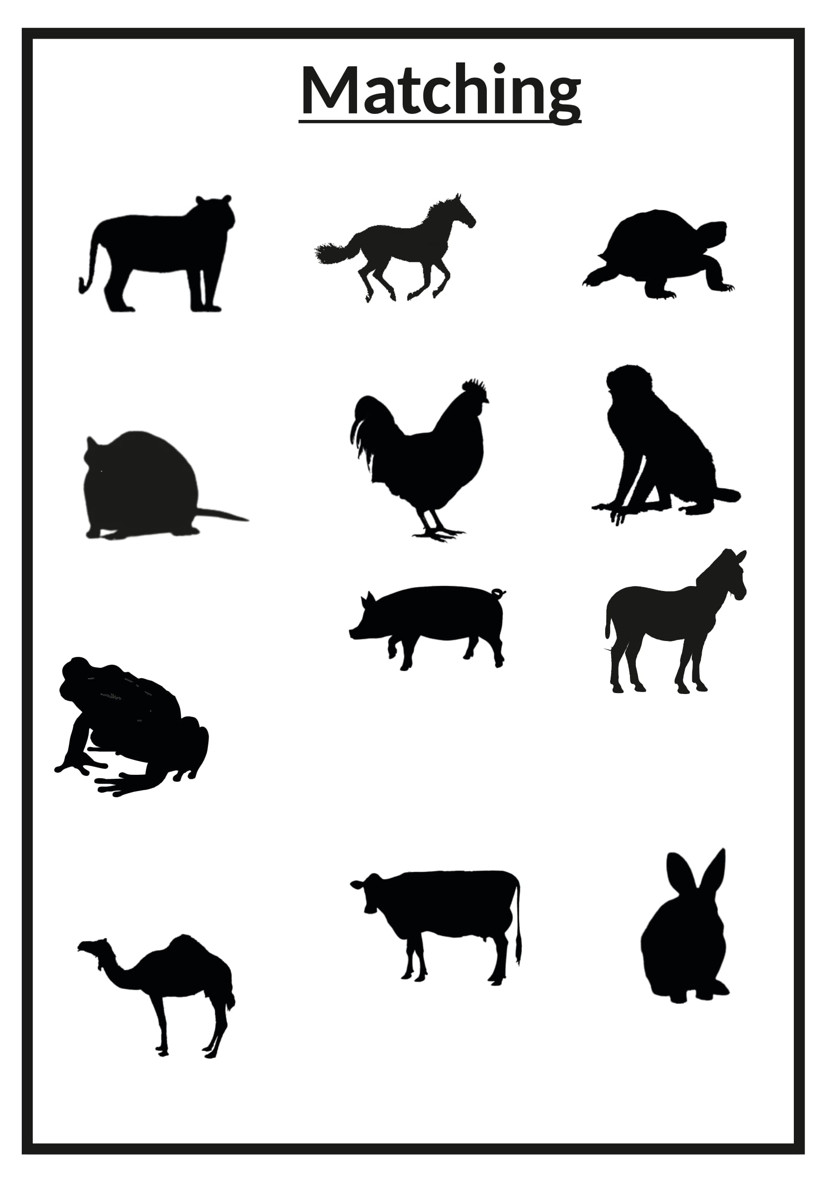 Shadow Matching Animal