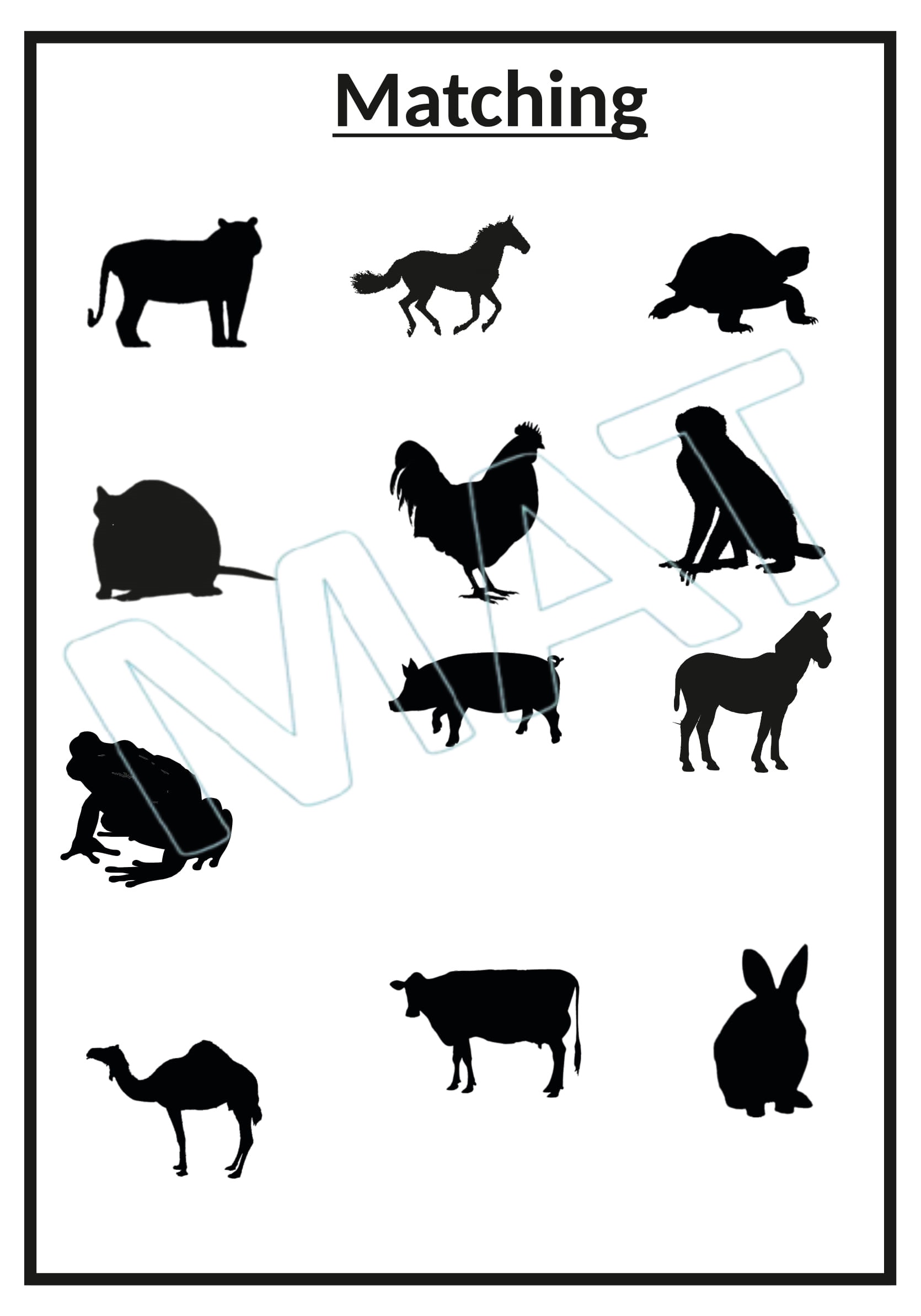 Shadow Matching Animal