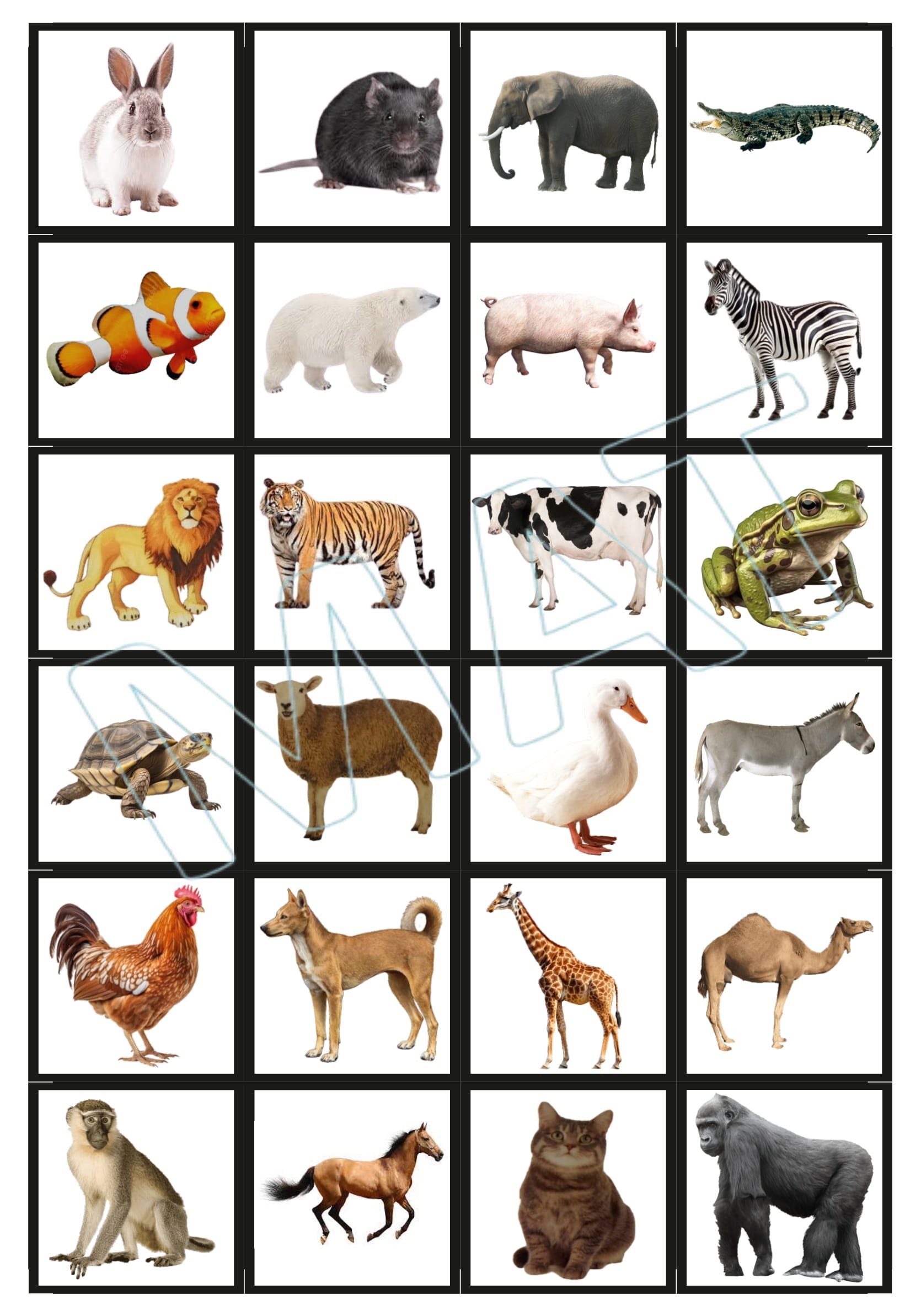 Shadow Matching Animal