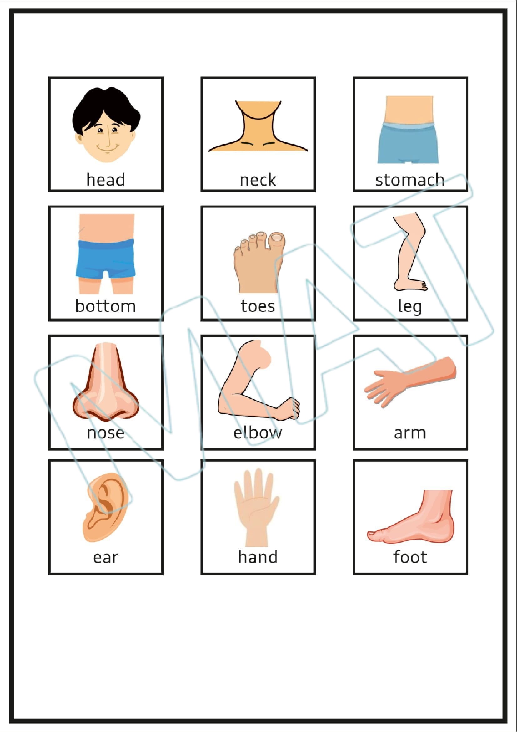 Visual Communication Board- What Body Hurts?