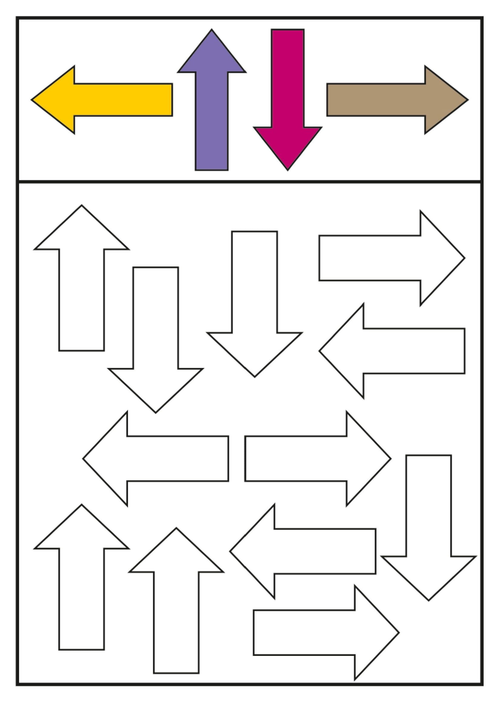Visual Perception - 1