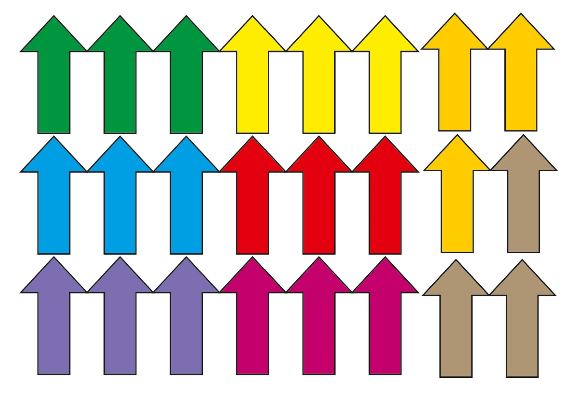 Visual Perception - 1