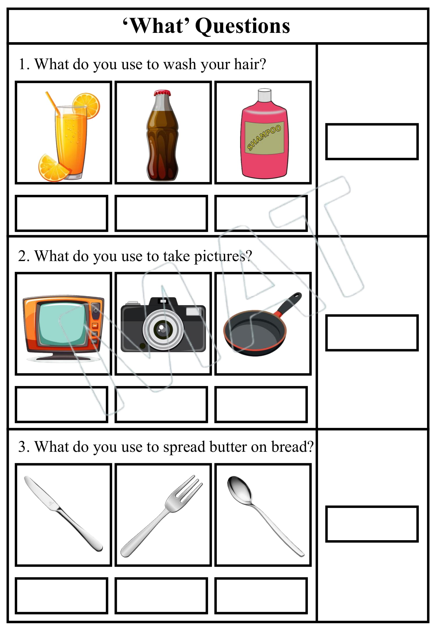 What Question Volume 2