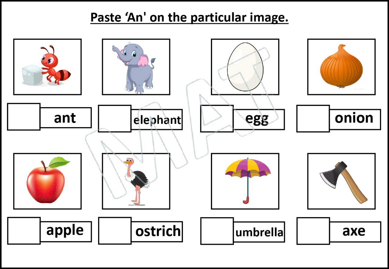 Learning Articles: “A” and “An”