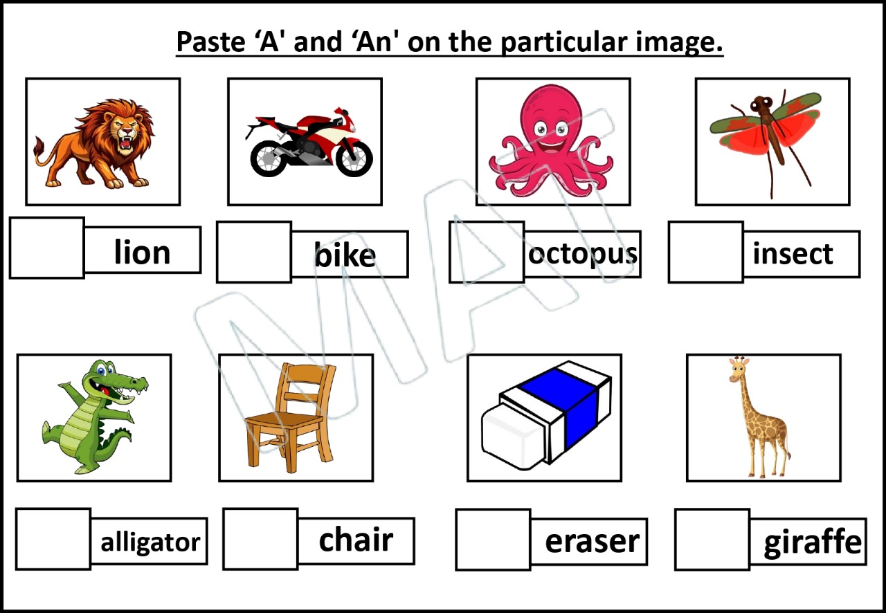 Learning Articles: “A” and “An”
