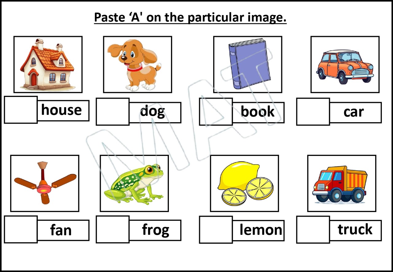 Learning Articles: “A” and “An”