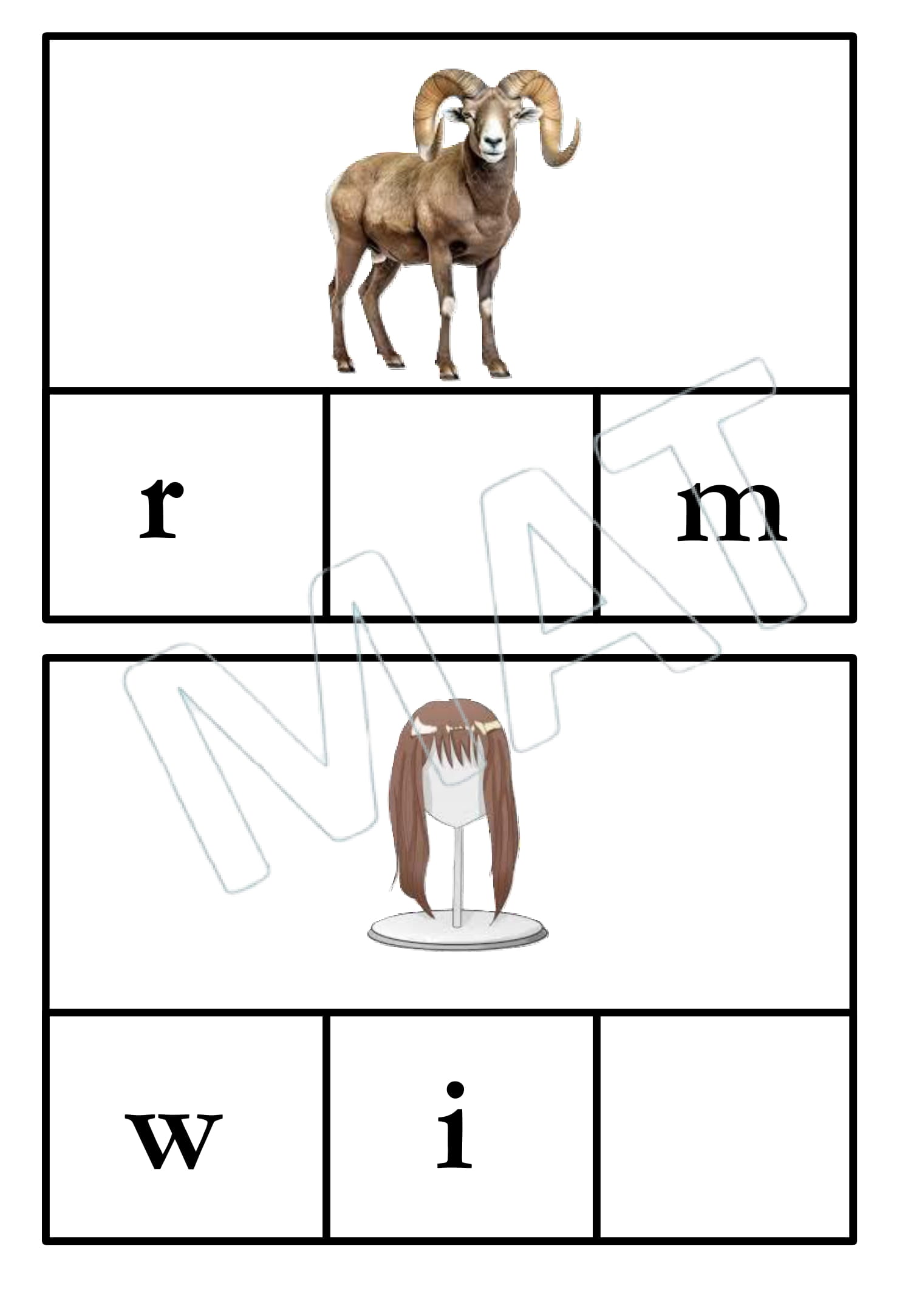 CVC Words Missing Letters