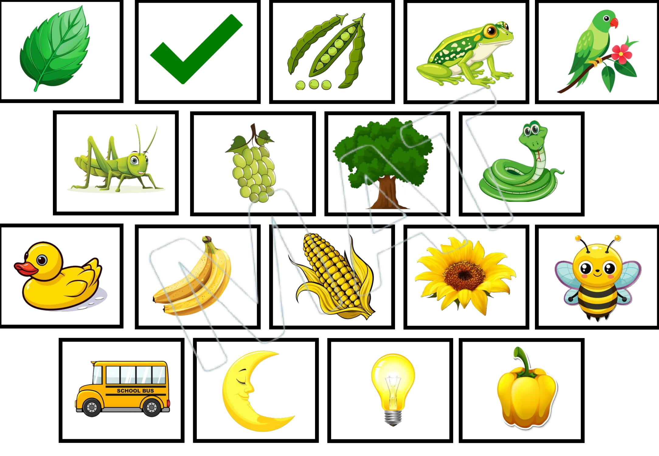 Same Colour Different Objects Book