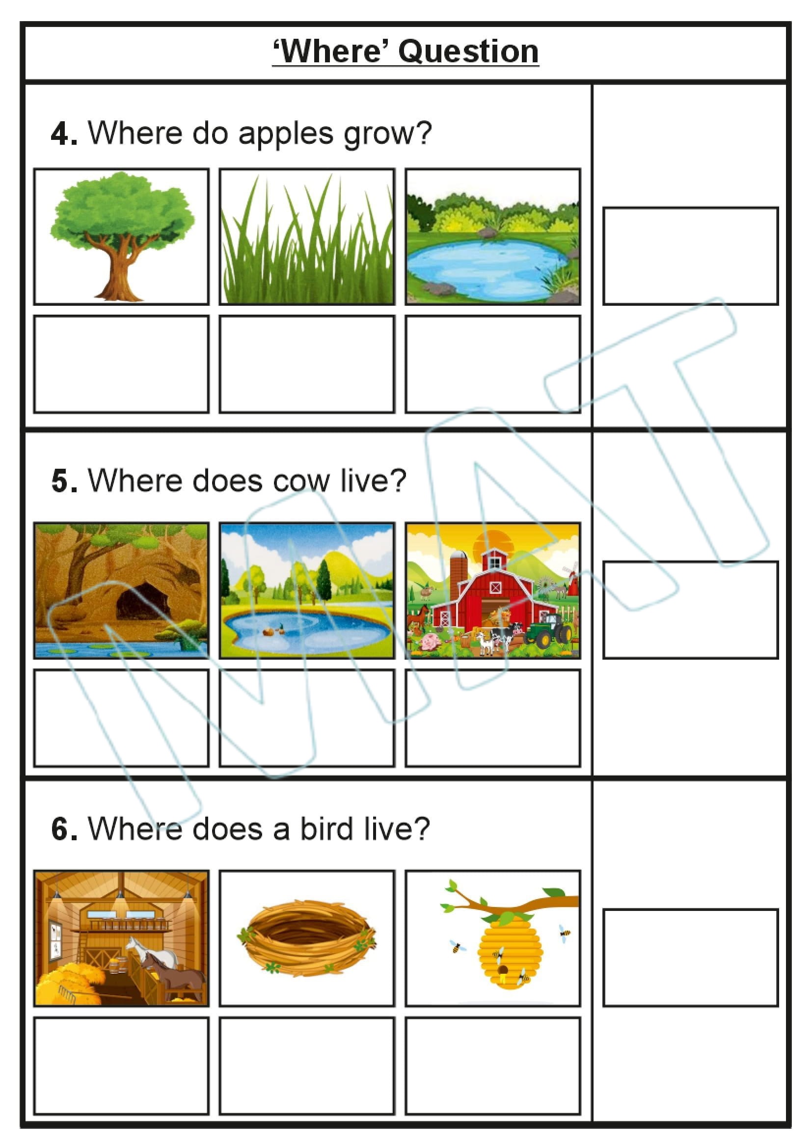 Where Questions Part-2